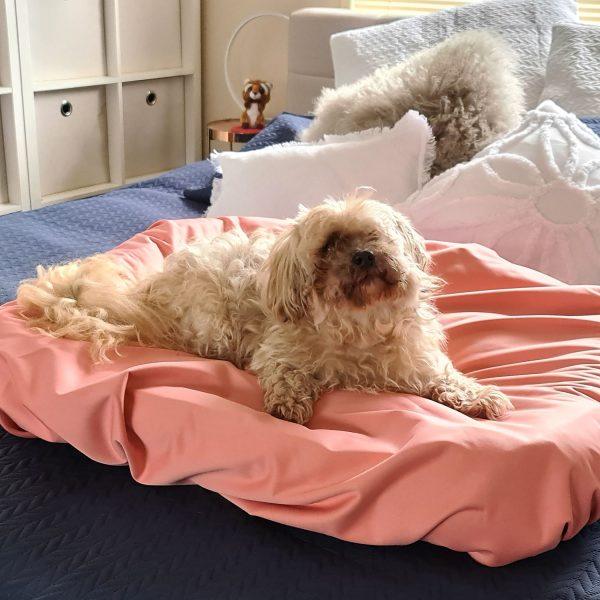 PETSY SHEET ORIGINAL – SALMON PINK - Image 2